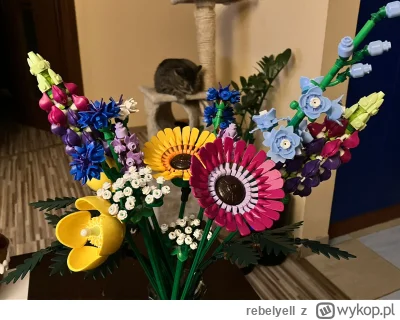 rebelyell - Kwiaty i kot.
#koty #katzenpfotchen #lego #kwiaty