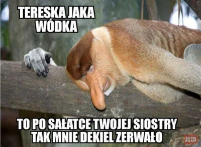 mannoroth - Wesołych świąt, Mirki i Mirabelki!
#heheszki #humorobrazkowy #swieta #nos...