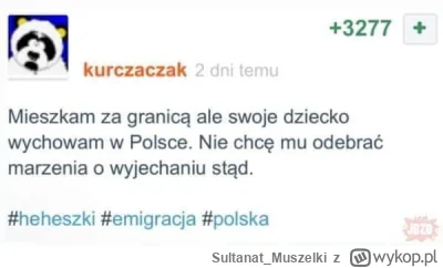 Sultanat_Muszelki - #thebestofmirko #emigracja #heheszki #polska