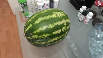 krucjan - Będzie uczta. 
#jedzzkrucjanem #jedzenie