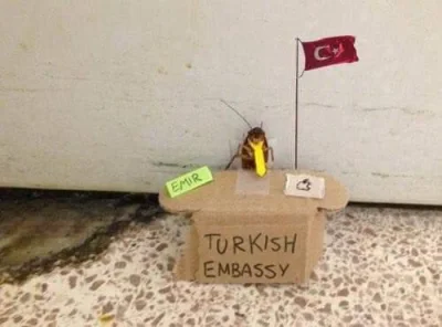Y.....d - @morgiel: 

Turcja dla Turków i Karaluchów!