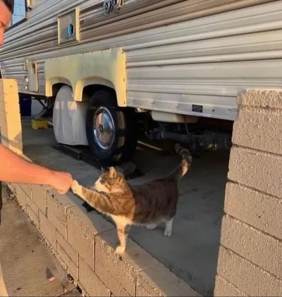 mala_kropka - #zupawkropki