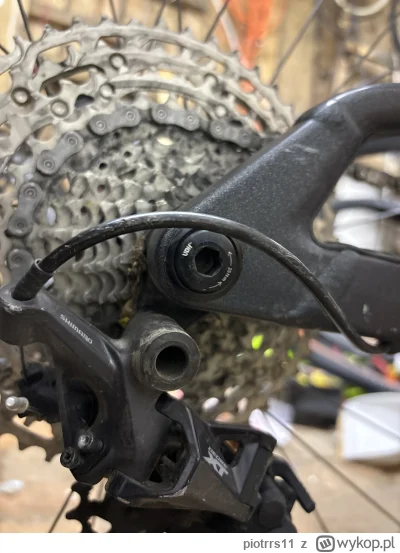 piotrrs11 - @piotrrs11