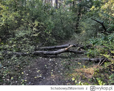 SchabowyZMizeriom - 725 476 + 61 = 725 537



#rowerowyrownik #rower #ruszwarszawa

S...