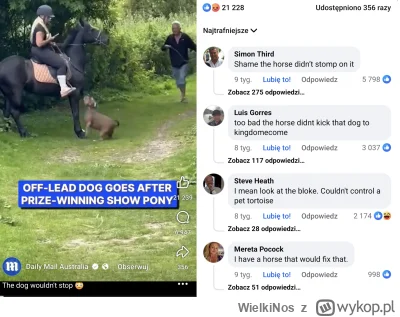 WielkiNos - Świniak bez smyczy i kagańca się rzucił na konia. W komentarzach, cóż... ...