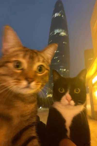 Imitacja_czlowieka - Halina zrób zdjęcie tak, żeby somsiedzi widzieli na jakie wakacj...