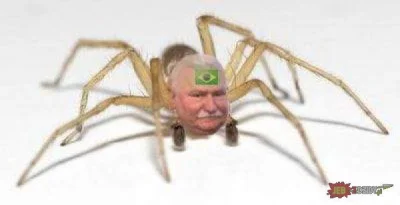 Marian_Kvtasiewicz - @dddobranoc: i ja mu wtedy mówię, przemień mnie w wałęsaka brazy...