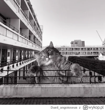 Dueil_angoisseus - #betonowykotek

#kot #kitku #koty #architektura #brutalizm