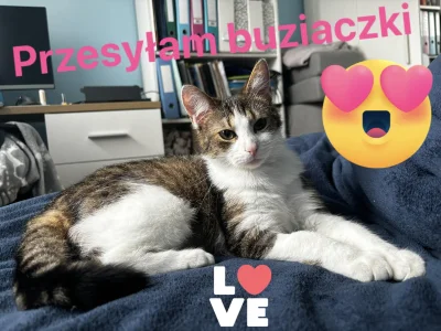 Emble - #pokazkota #koty #dziendobry