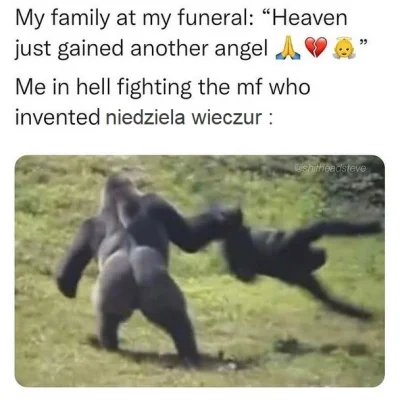 Ultimator - @neib1: kuwa, a już było dobrze, już było dobrze.... ( ͡° ʖ̯ ͡°)