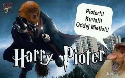 deafpool - #heheszki #humorobrazkowy #harrypotter