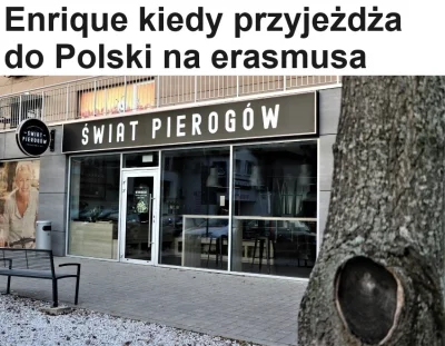 granulatdlaPOsmaku - #heheszki #humorobrazkowy #p0lka