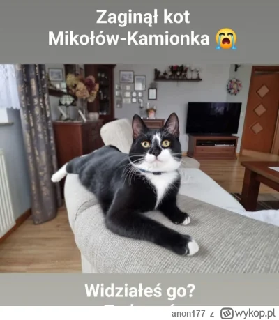 anon177 - Fredi ma brata?
#fredikamionka