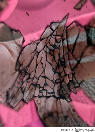 Polasz - #googlepixel #telefony 
Zepsuł mi się wyświetlacz w telefonie. Oddał do serw...