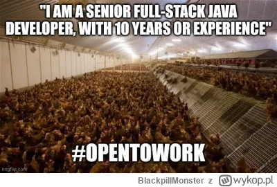 BlackpillMonster - #programista15k  #programowanie #pracait #korposwiat