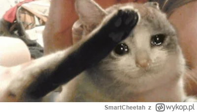 SmartCheetah - @SmartCheetah: