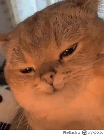 FireDash - Ten uczuć kiedy najstarszy brat jest kompletnym debilem i dziedzicem a dru...