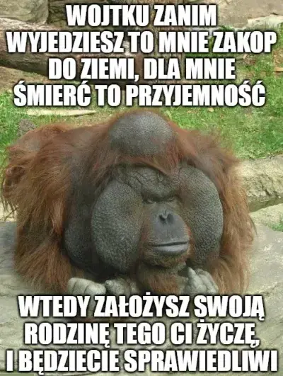 Scybulko - #kononowicz #patostreamy