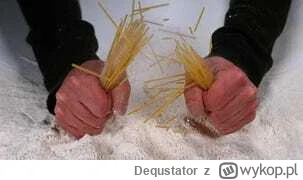 Dequstator - #siatkowka