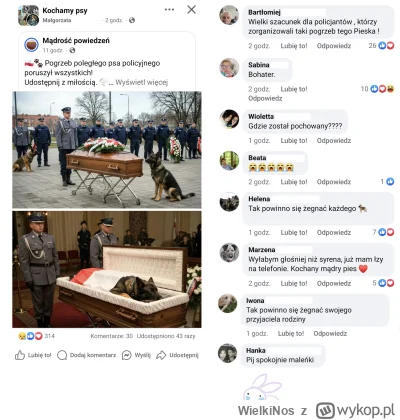 WielkiNos - #psiarze #bekazpodludzi #patologiazmiasta #heheszki #ai