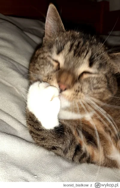 leonid_bialkow - @dywergent: cze dla ciebie