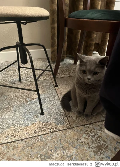 MaczugaHerkulesa18 - @MaczugaHerkulesa18