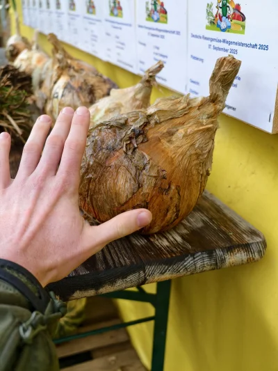 KrzysztofWu - @KrzysztofWu: oczywiście nie mogło zabraknąć polskiego akcentu
CEBULA!
...