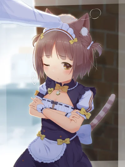 LatajacaPapryka512 - #randomanimeshit #anime #nekopara #azuki #kemonomimi