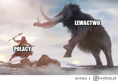 lavinka - #humorobrazkowy #memy #polska