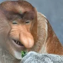 Dalegor - @Ninjaxtb5: i jak tam somsiedzie, miało przecież rosnąć do 10 dolarów, a po...