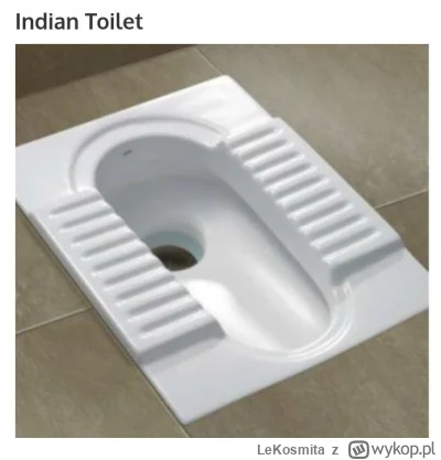 LeKosmita - Gdybyście nie wiedzieli tak wygląda hinduski kibel
#indie #gównowpis #cie...