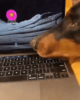 wfyokyga - Wyłonczaj tego laktoka i do spania guwniarzu zasrany z------y