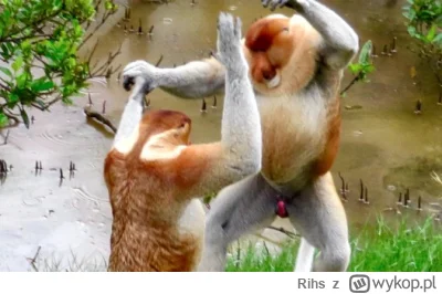 Rihs - #xboxgamepass #xbox #konsole
Ja gdy gamepass zdycha. Można to chyba określić j...