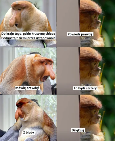 pioter_ciemiezca - #konkursnanajbardziejgownianymemznosaczem #kolekcjaklasyki #sztuka...