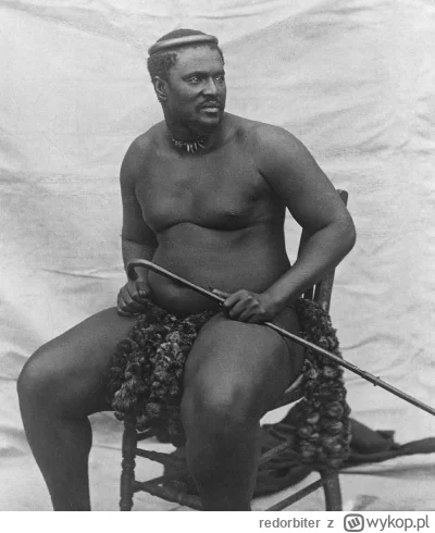 redorbiter - kim jest szczur krolow i na czym polega jego potega?

na zdjeciu krol zu...