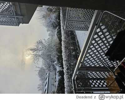 Deadend - #chcepogadac zanim pierwsza gwiazdka wzejdzie