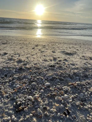 lajsta77 - Coroczny weekendowy wypad na zachód słońca na Siesta Key Beach, raz w roku...