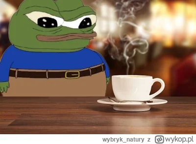 wybryk_natury - Pora na drugą kawę 
#frenpill