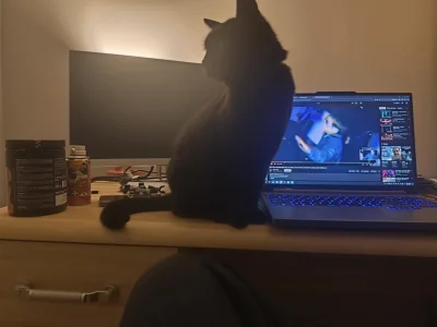 walokid - @serniczekwiedensky: mam podobnego