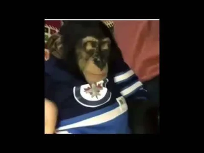 noipmezc - @6aesthetic9: @6aesthetic9