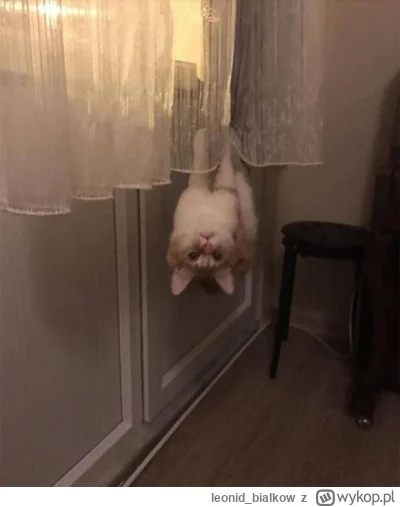 leonid_bialkow - hejsia