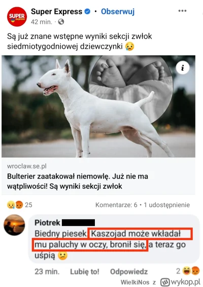 WielkiNos - >obowiązkowe szkolenie z odczytywania znaków psa w przedszkolu ( ͡º ͜ʖ͡º)...