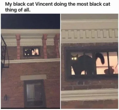 Badmadafakaa - #smiesznypiesek #heheszki