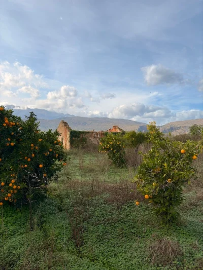 asdfghjkl - Takie tam ze spaceru z piesłem #takietam