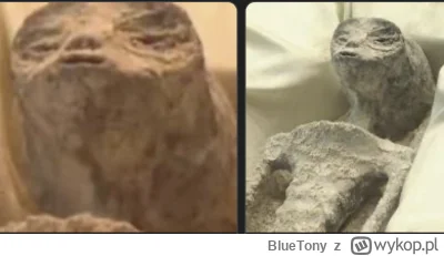 BlueTony - - Z polski? Moja dziewczyna była z polski... 

#ufo #heheszki #memy #rozow...