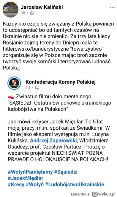 Lukardio - #polska #4konserwy #konfederacja #polityka #konfederacja #polityka #neurop...