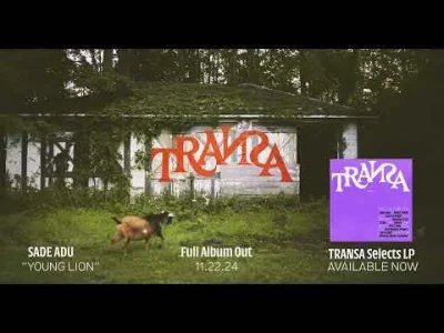 jednorazowka - Najnowsza piosenka