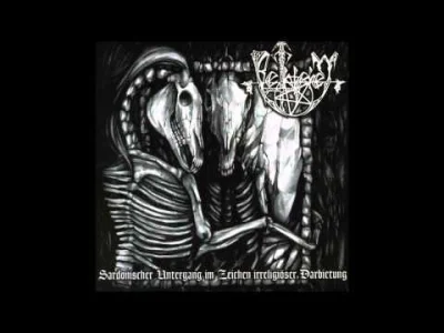 cultofluna - #metal #blackmetal #depressiveblackmetal #deathdoom 
#cultowe  (1137/100...