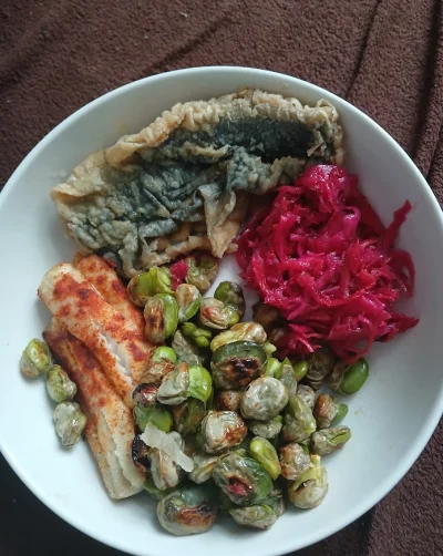 jan-plastrek - obiad chłopa za około 15 zł #przegryw