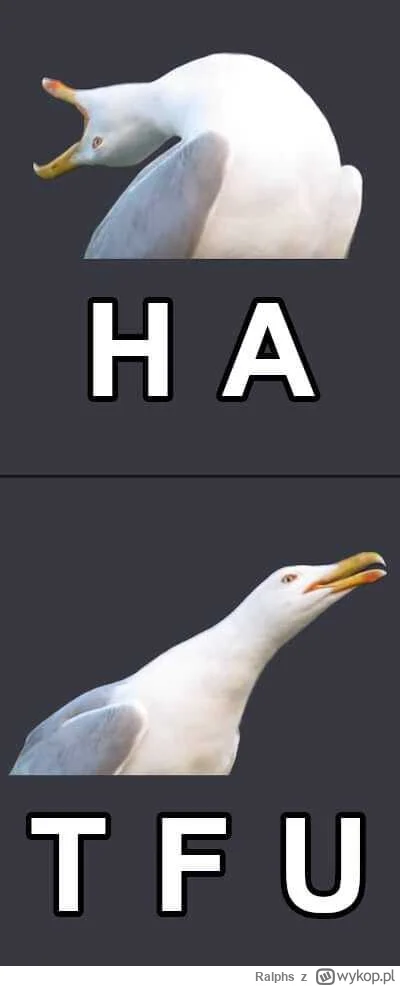 Ralphs - @GF91 jestem w stanie uwierzyć, że dagestańsko-czeczeńscy wąchacze jajec rob...